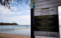 Attaque mortelle de requin en Nouvelle-Calédonie