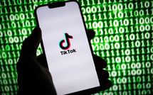 Trois influenceurs franco-algériens de Lyon dans le viseur des autorités