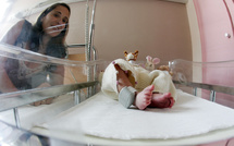 La natalité française devrait encore baisser en 2024