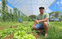 ​Des serres pour protéger les cultures