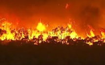 Deux morts dans des feux de forêt dans le sud de l'Australie