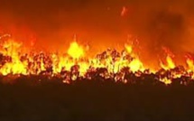 Deux morts dans des feux de forêt dans le sud de l'Australie
