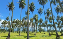 ​Une pétition contre les car-bass à Atimaono