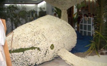 La 54ème édition des journées du Tiare Tahiti se tiendront du 2 au 4 décembre