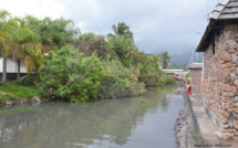 La Papeava, objectif "prioritaire" du plan d’actions rivières