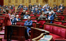 Le budget de Bayrou franchit l'étape du Sénat, le gouvernement toujours sous pression