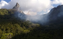 Ua Pou. Le fond de vallée de Hakahetau est en feu.