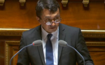 Budget outre-mer : l'amendement de Nuihau Laurey fâche George Pau-Langevin