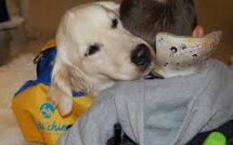 Poils doux et aboiements pour accompagner des enfants polyhandicapés vers le mieux-être