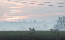 Les forêts et les terres agricoles, deux leviers contre le réchauffement