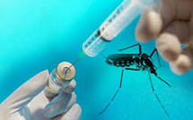 Le vaccin contre la dengue de Sanofi Pasteur, le premier au monde, autorisé au Mexique
