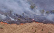 En Nouvelle-Calédonie, les feux liés à El Nino détruisent la biodiversité