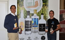 Le rhum polynésien en quête de reconnaissance