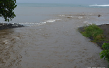 Après les inondations, le risque de leptospirose est élevé