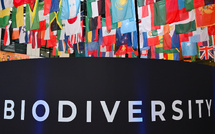 "Question de survie" : le monde se dispute à Rome sur le financement de la sauvegarde de la nature