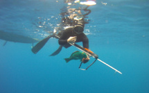 Disparition d'un apnéiste à Vairao