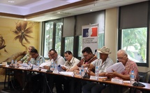 Les tāvana obtiennent un élargissement du FIP