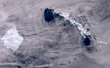 Le plus grand iceberg du monde immobilisé, une île riche en faune sauvage potentiellement épargnée