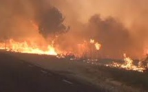 L'Indonésie sanctionne des sociétés impliquées dans les immenses feux de forêt