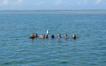 El Niño : Reef Check appelle les ultramarins au suivi des coraux