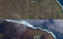 Terres australes françaises: l'incendie de l'île Amsterdam a ravagé plus de la moitié de sa surface