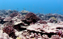Les Kiribati discutent avec la Chine d'un accord pour explorer leurs fonds marins