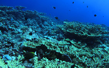 La recherche à la croisée des savoirs