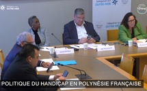 ​Le Sénat s’intéresse à la politique du handicap au fenua