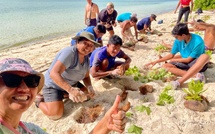 ​Mission restauration du littoral à Tetiaroa