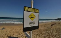Australie: un nageur blessé par un requin