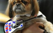 A New York, Times Square aboie au rythme d'un concert canin