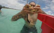 Production en baisse pour la pêche hauturière