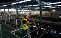 Polluants éternels: Eau de Paris veut faire payer les pollueurs