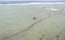 Une sirène alerte tsunami pour Tureia