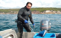 Compétition de pêche sous-marine à Mataiea le 9 janvier
