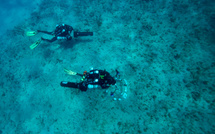 En Guadeloupe, la Réserve Cousteau sur le fil du rasoir