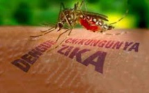 Première analyse génétique complète du virus Zika du continent américain