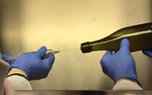 Canada: une bière d'au moins 120 ans trouvée en mer, encore buvable