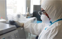 Le virus Zika qui circule en Amérique du sud est à plus de 99% le même qu'à Tahiti