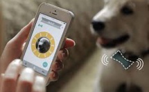 Des gadgets à foison au CES pour garder (électroniquement) son chien en laisse