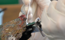 Perles : des chiffres en hausse mais contestés