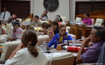 Le groupe des pro-Fritch est officiellement créé à l'Assemblée
