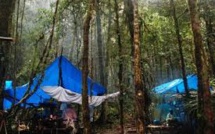 Une touriste américaine victime d'un viol collectif en Papouasie