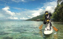 Les "sacré-manchots" font le tour du monde