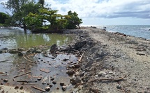 Motu de Faratea : un chemin qui passe mal