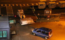 La Réunion: 20 kg de drogue saisis en quatre jours à l'aéroport, sur fond de "tsunami blanc"