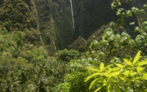 Carnet de voyage à Hakaui : une chute spectaculaire de 350 m !
