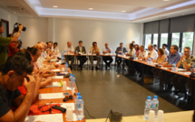 Un plan de prévention de la délinquance en mars en Polynésie française