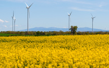 Comment un réseau électrique peut-il s'effondrer en cinq secondes?