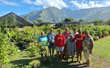 L’horticulture s’épanouit à Papara  